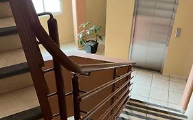 Hotel Zadapi